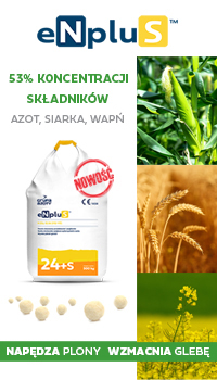 baner enplus 200x350